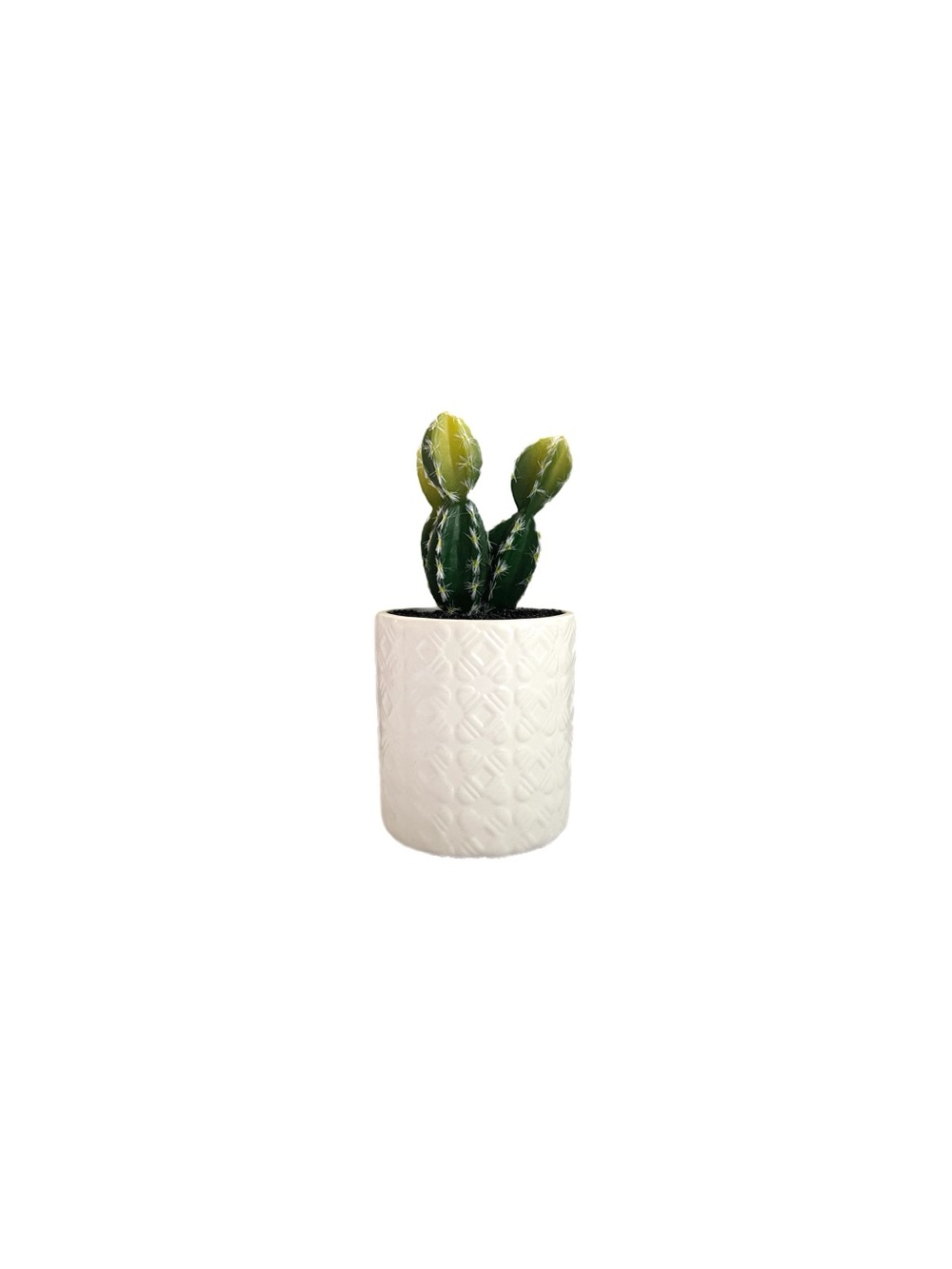 Hearth & Hand With Magnolia Small Faux Potted Cactus Plant